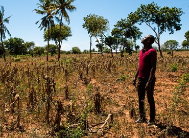 Climate Change Resilience